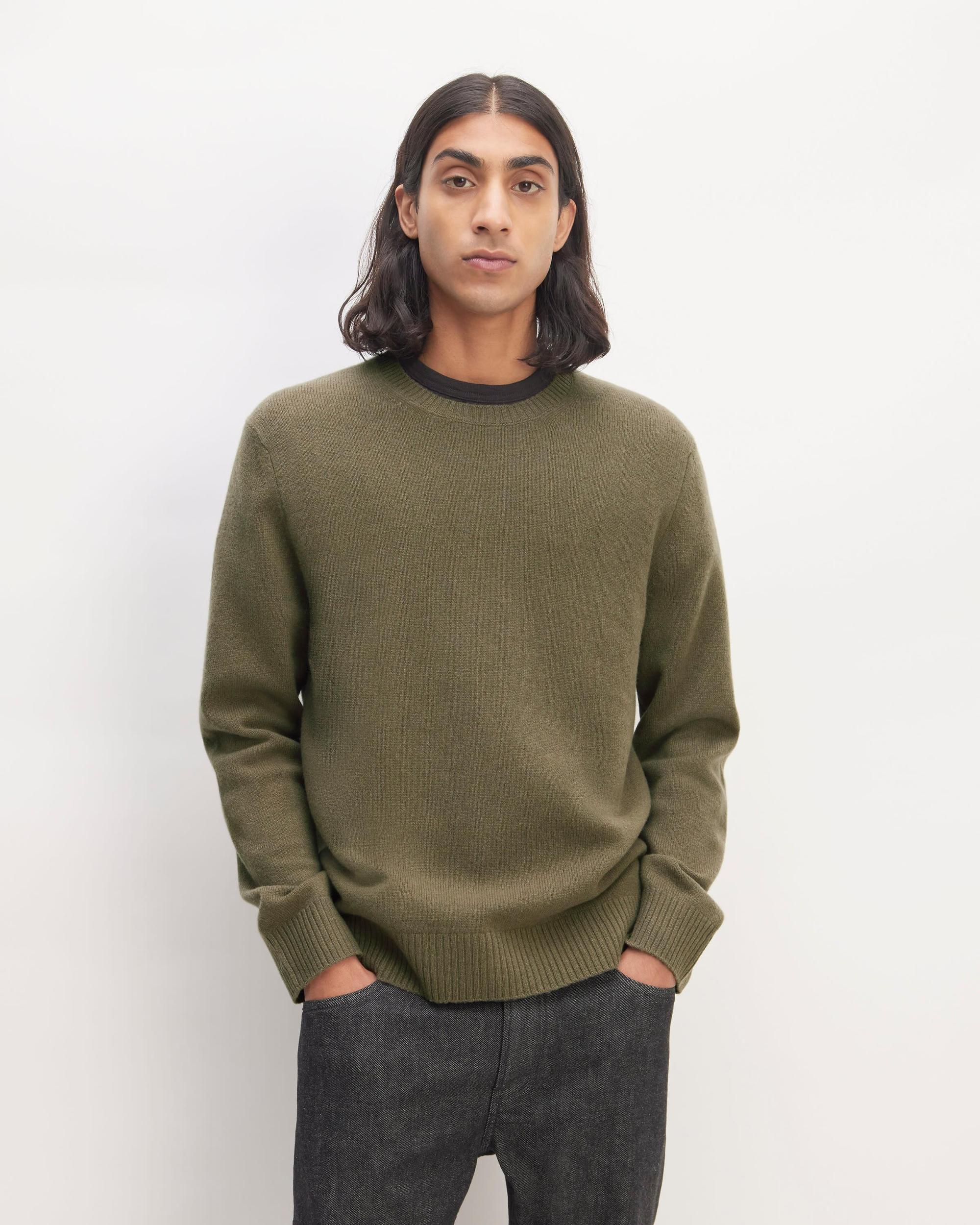 Mens Premium Merino Crew Neck Sweater by Everlane Product Image