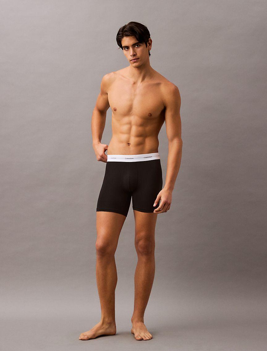 Cotton Modal Stretch 3-Pack Boxer Brief Product Image