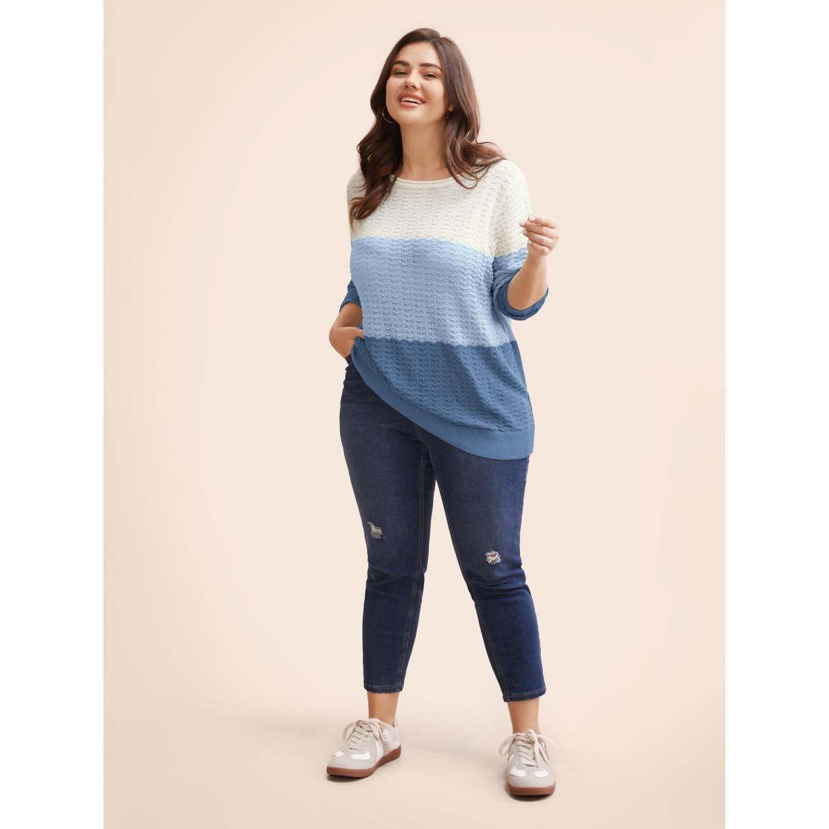 Plus Size Color Contrast Boat Neck Lightweight Pullover Skyblue Women Casual Loose Long Sleeve Boat Neck Everyday Pullovers BloomChic 22-24/3X Product Image