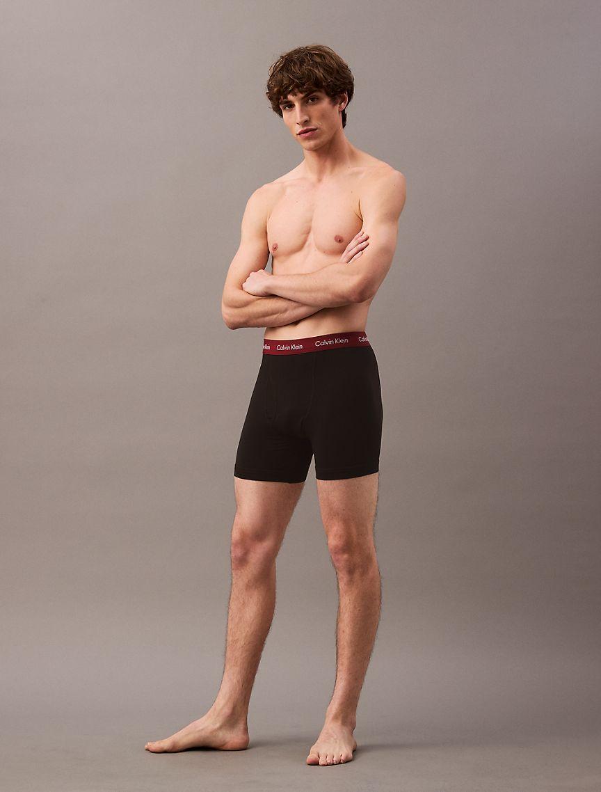 Cotton Classic 5-Pack Boxer Brief Product Image