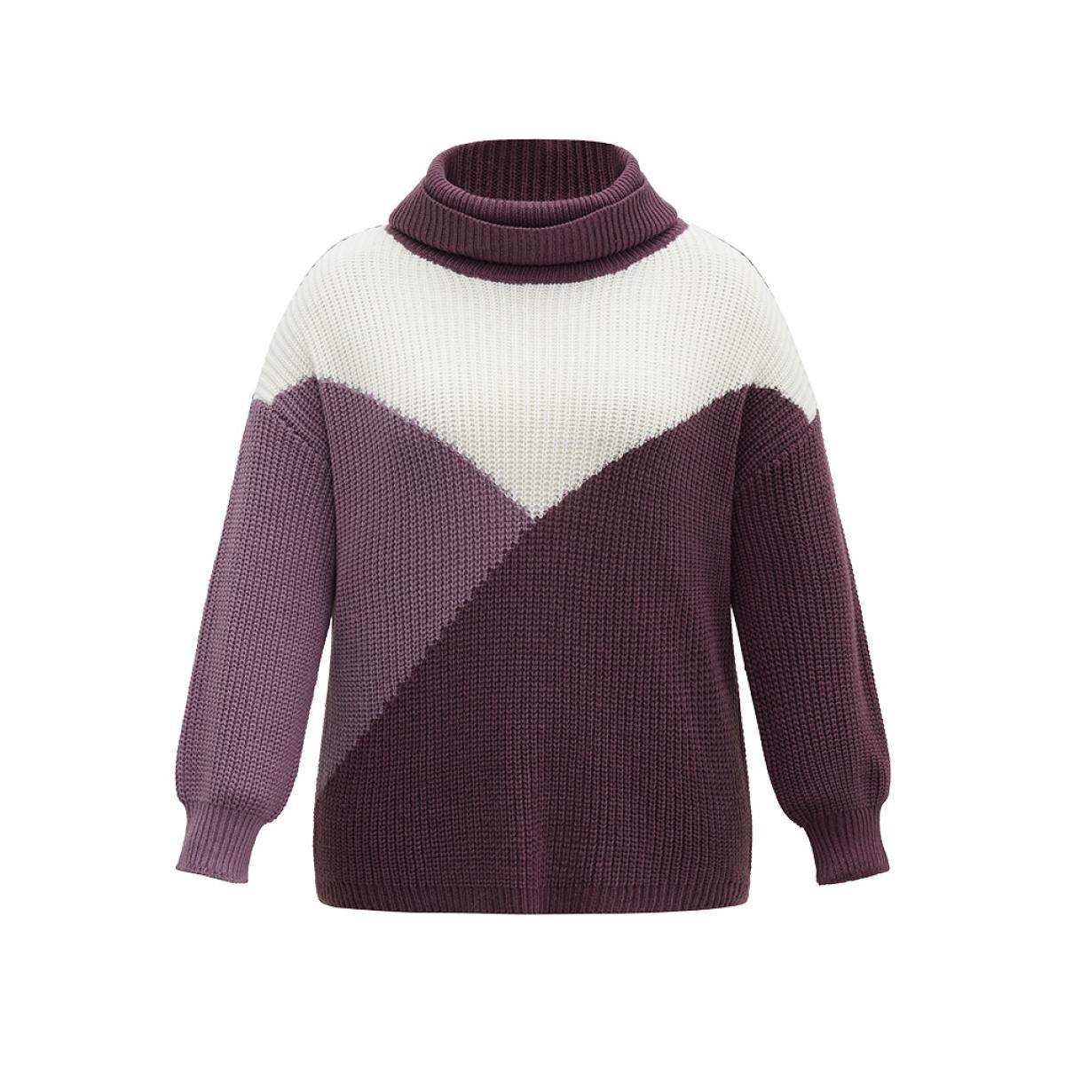 Plus Size Asymmetrical Colorblock Turtle Neck Drop Shoulder Pullover Purple Women Casual Loose Long Sleeve Turtleneck Dailywear Pullovers BloomChic 14-16/1X Product Image