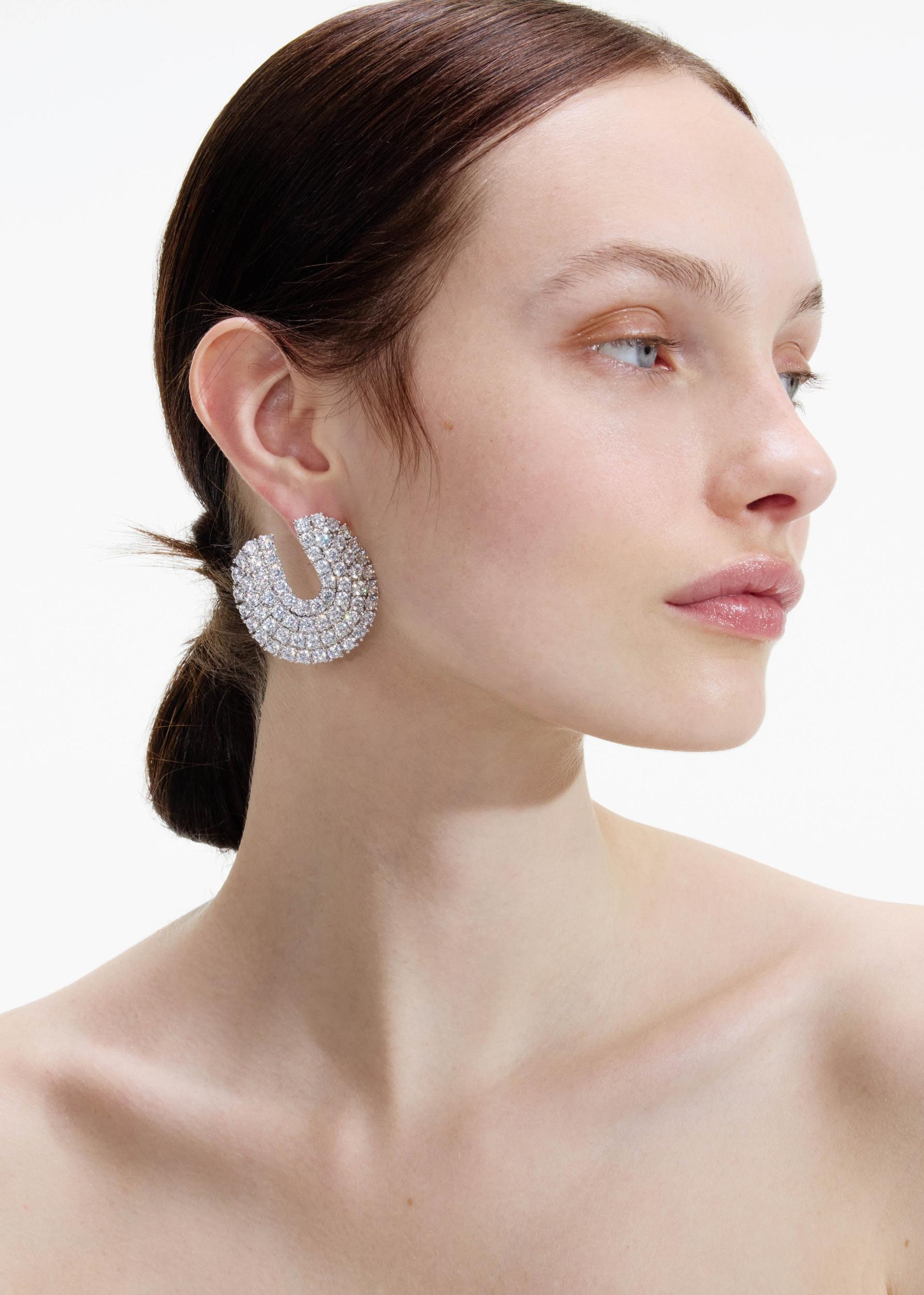 Crystal Curved Earrings Product Image