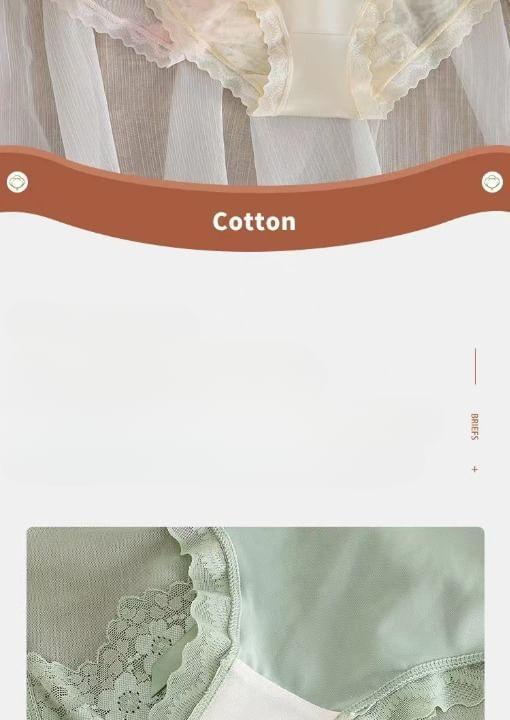 Plain Lace Trim Bikini Panties Product Image