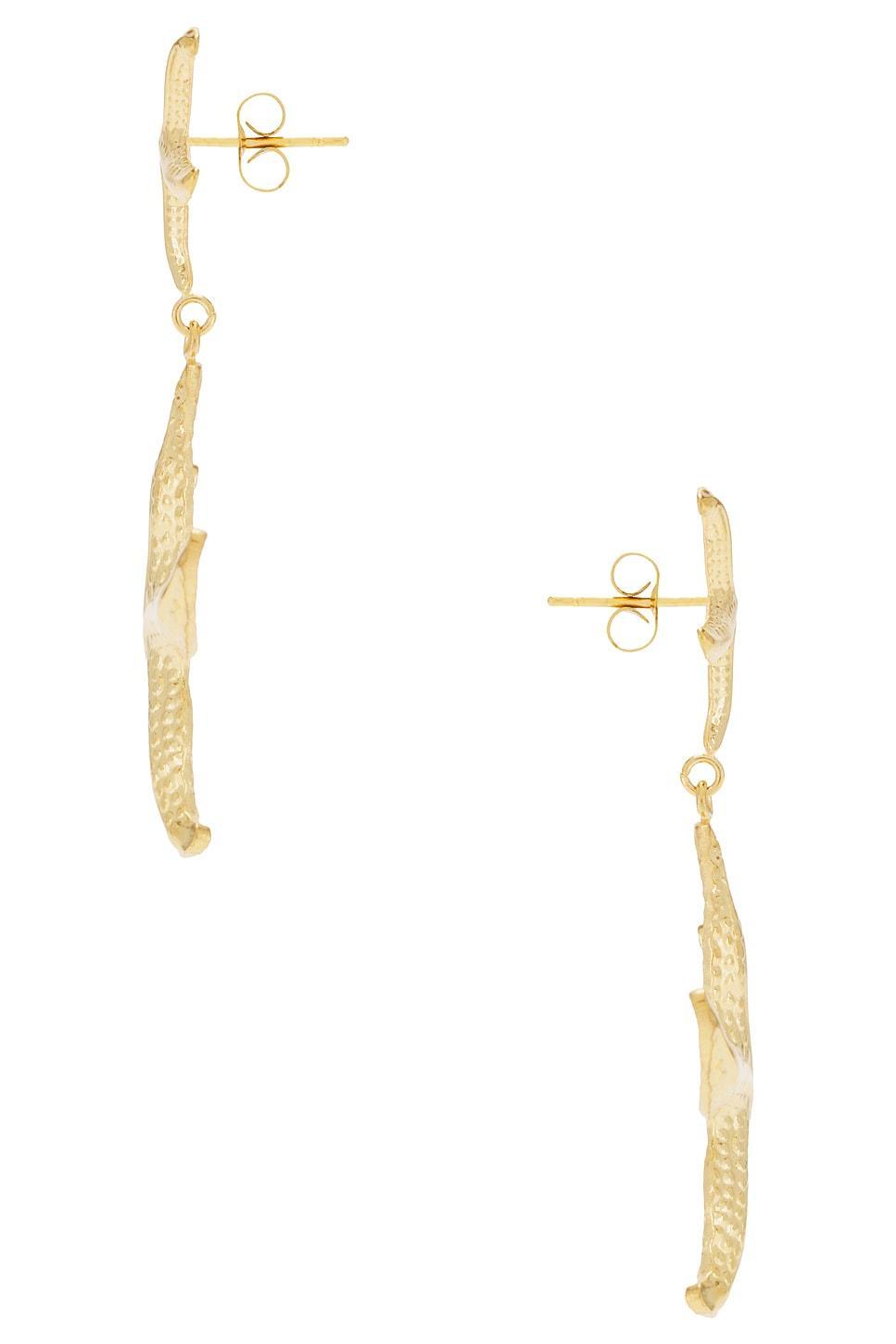 Starfish Earrings Product Image