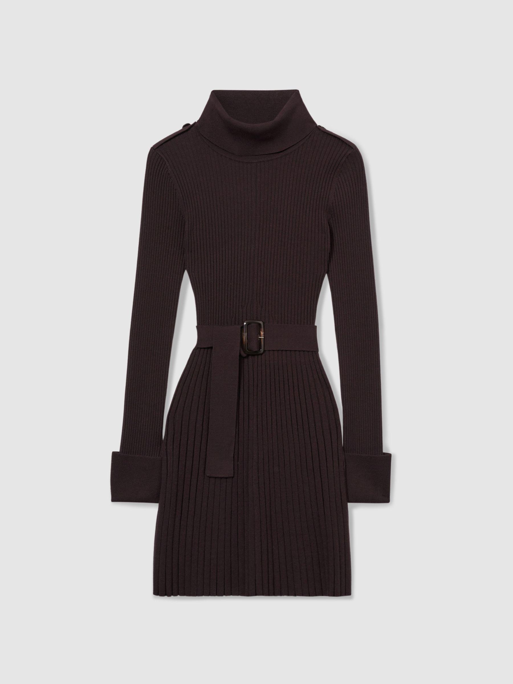 Roll-Neck Ribbed Mini Dress in Brown Product Image