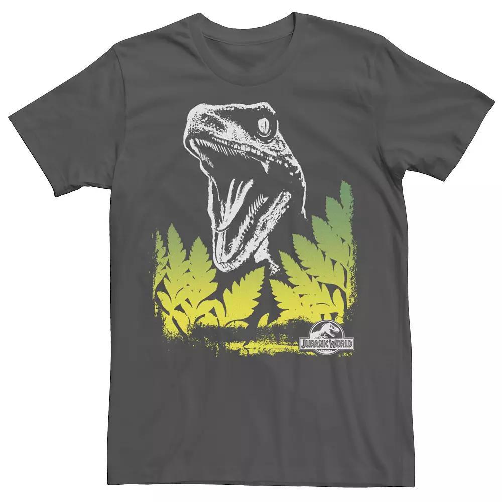Men's Star Wars Han Solo Nerf Herder Valentine's Day Tee, Size: Medium, Grey Product Image