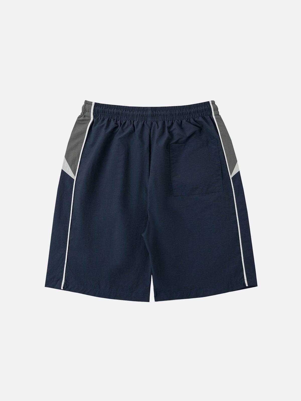 Aelfric Eden Color Blocking Athleisure Shorts Product Image