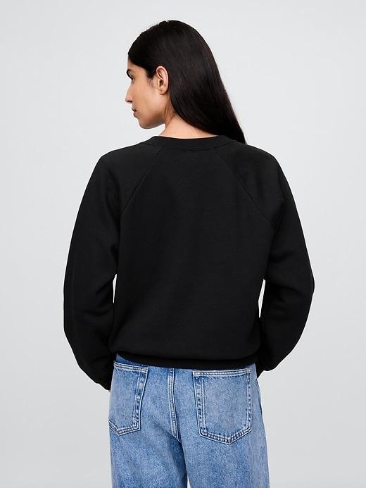 VintageSoft Raglan Sweatshirt Product Image