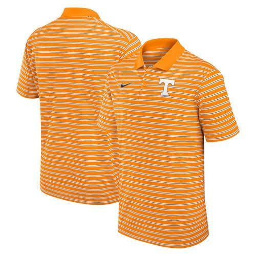 Michigan State Spartans Primetime Victory Striped Nike Men's Dri-FIT College Polo Product Image