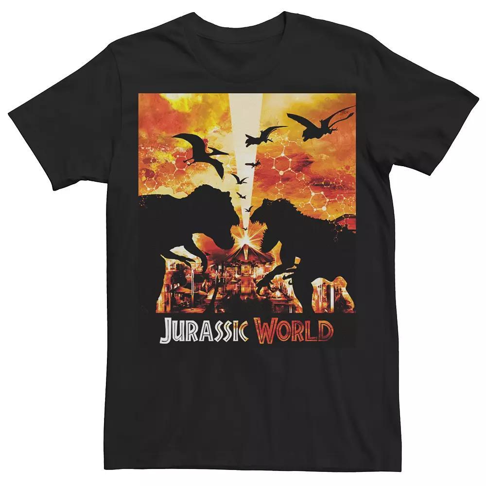 Big & Tall DC Comics Wonder Woman Dragon Fruit Logo Tee, Men's, Size: 5XL, Black Product Image