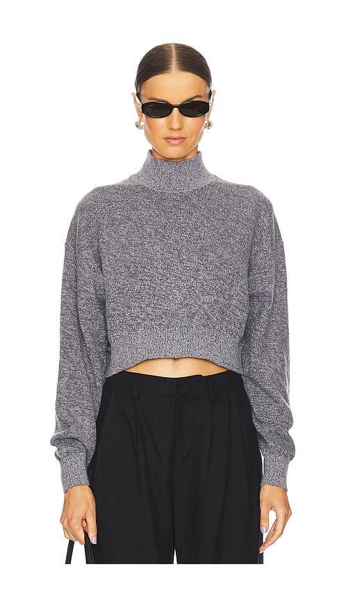 Long Sleeve Turtleneck Pullover Alexander Wang Product Image