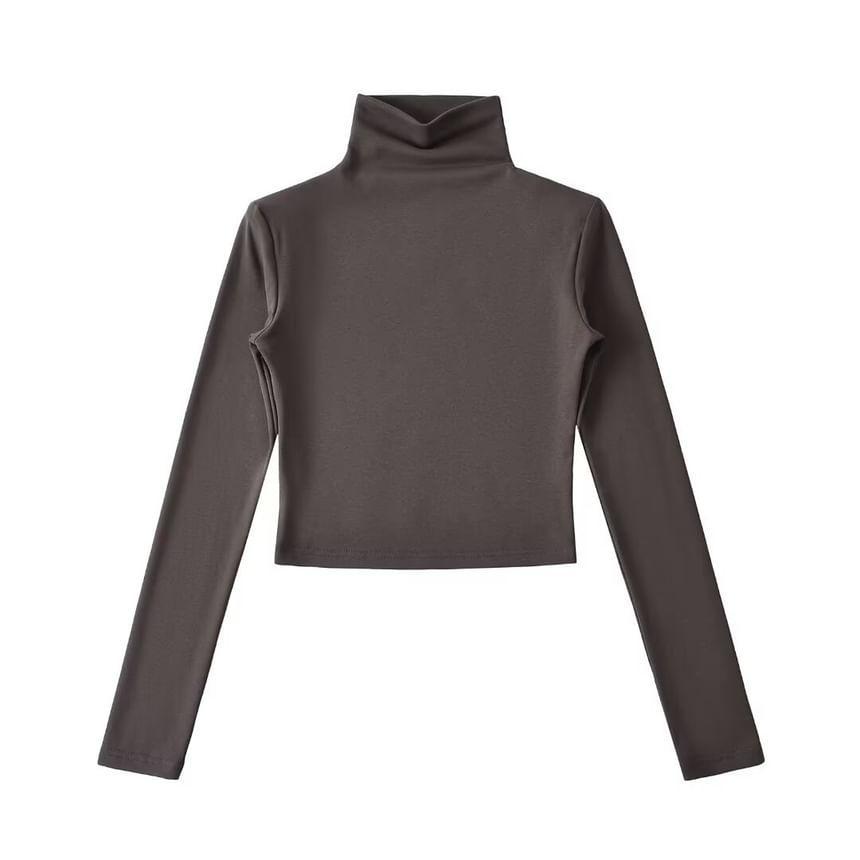 Long-Sleeve Turtleneck Plain Crop Top Product Image