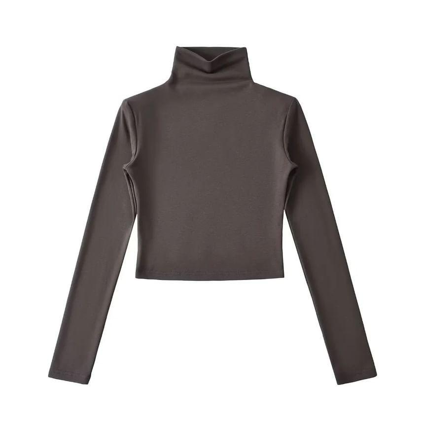 Long-Sleeve Turtleneck Plain Crop Top Product Image