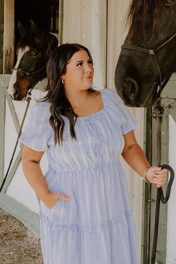Countryside Meadows Stripe Midi Dress Curves Product Image