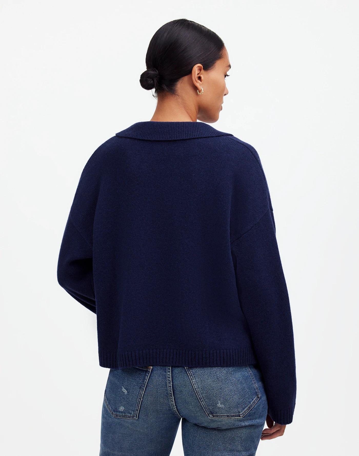Cashmere-Wool Blend Polo Sweater Product Image