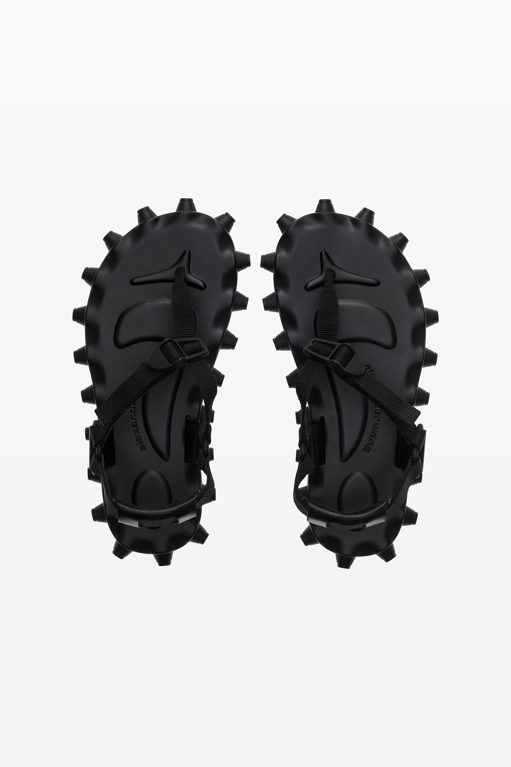 Black Rapture Flip-flop Sandals Product Image