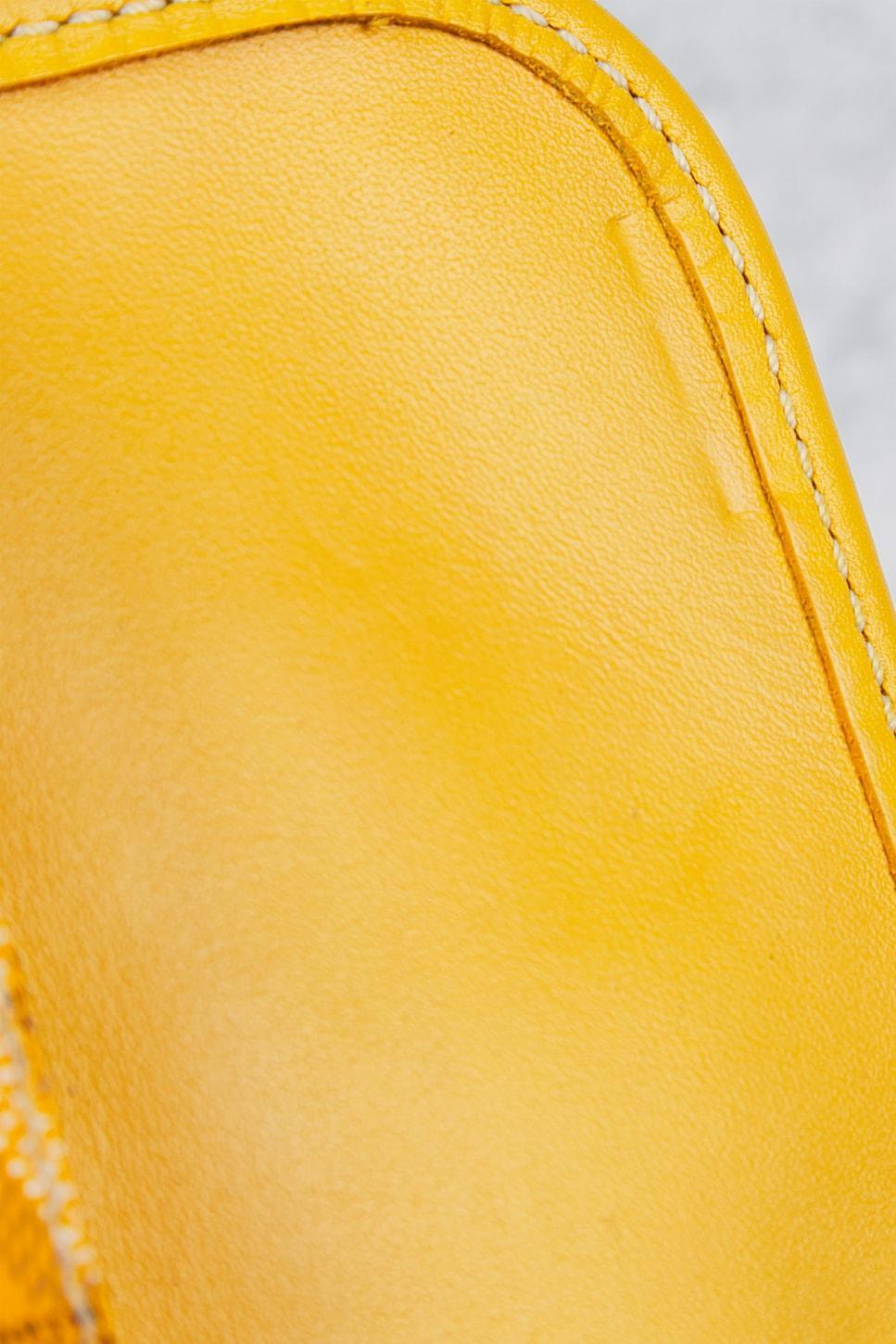 Goyard Saint Louis PM Tote Bag Product Image