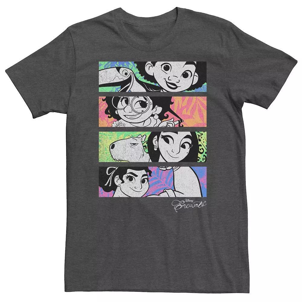 Big & Tall Disney Encanto Character Colorful Portrait Panels Tee, Men's, Size: Large Tall, Grey Heather Product Image