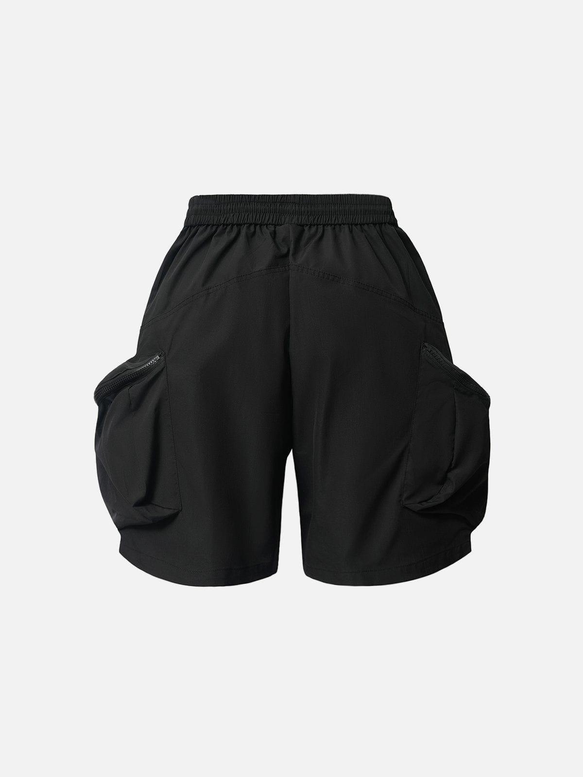 Aelfric Eden 3D Big Pocket Shorts Product Image