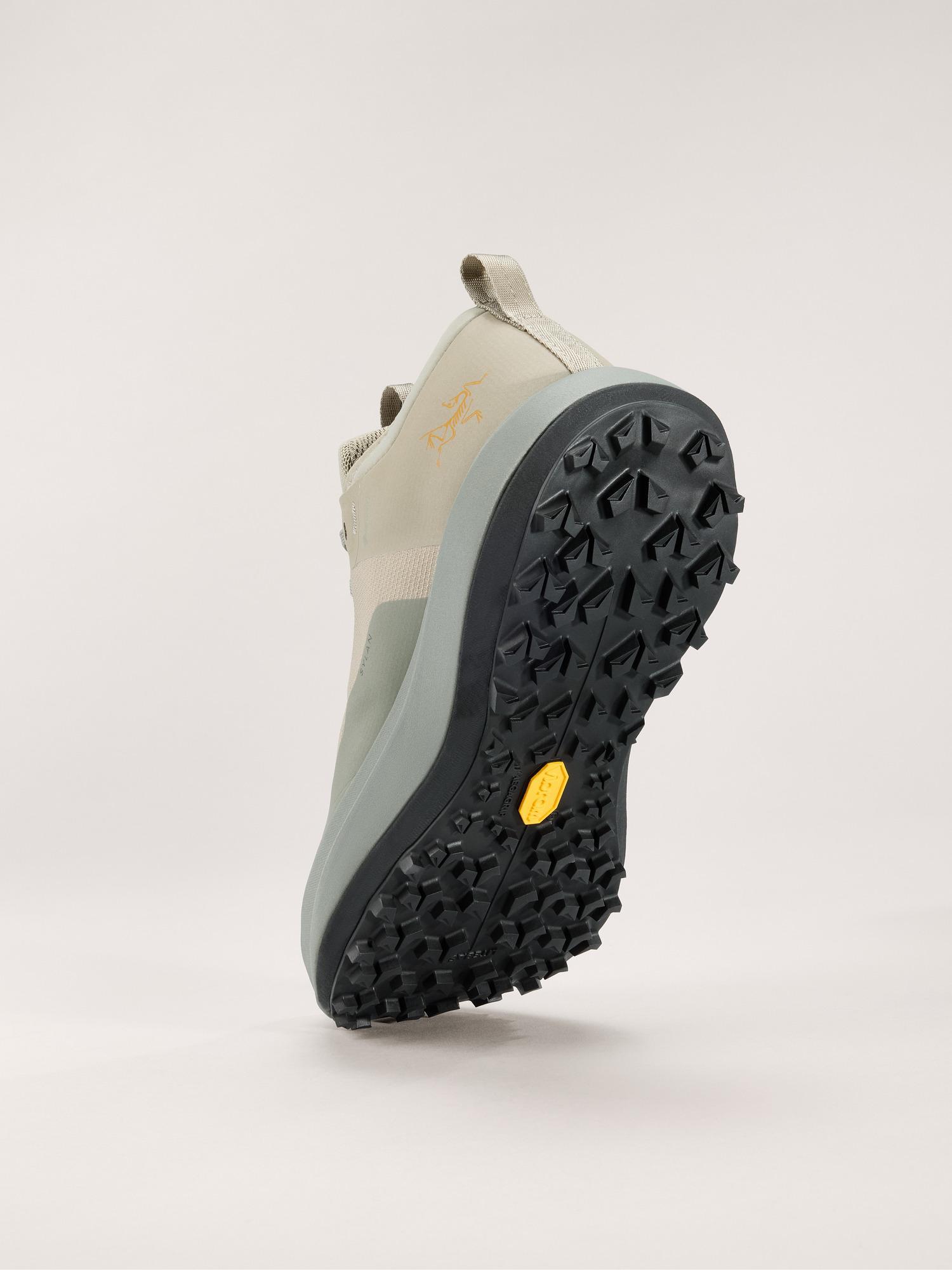 Sylan GTX Shoe Women's Product Image