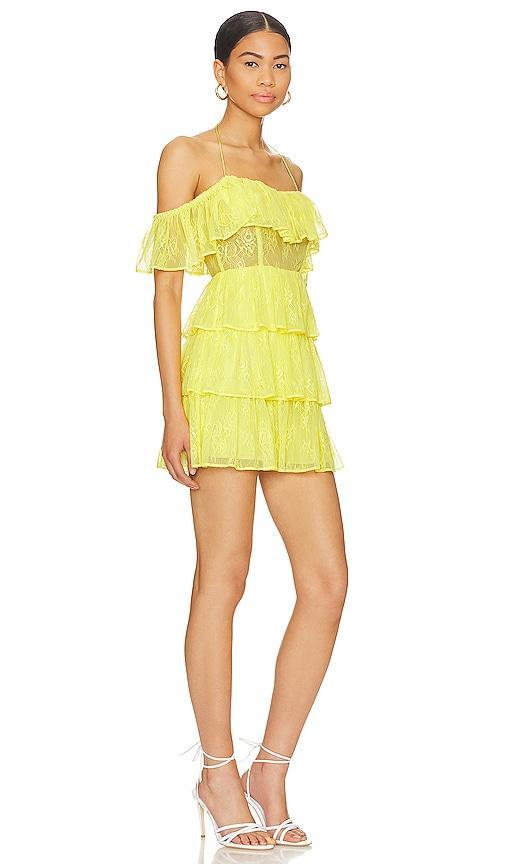 Rena Mini Dress MAJORELLE Product Image