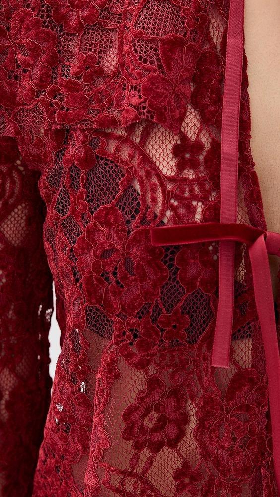 ALOHAS Tolpa Velvet Lace Wine Blouse | Shopbop Product Image