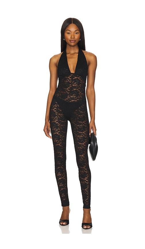 Tayler Catsuit superdown Product Image