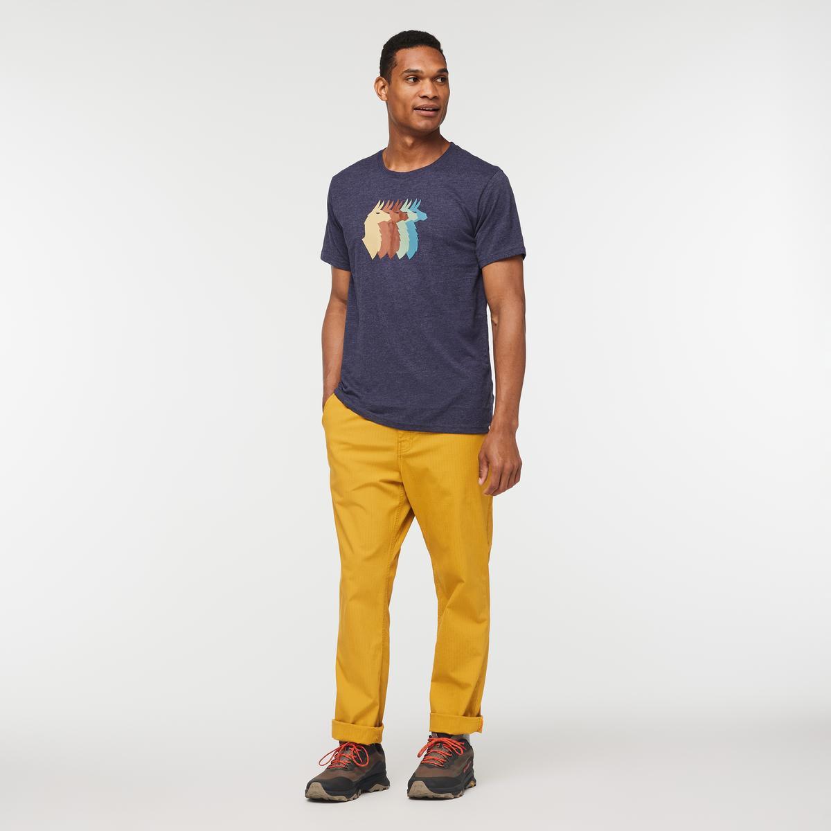 Llama Sequence T-Shirt - Men's Product Image