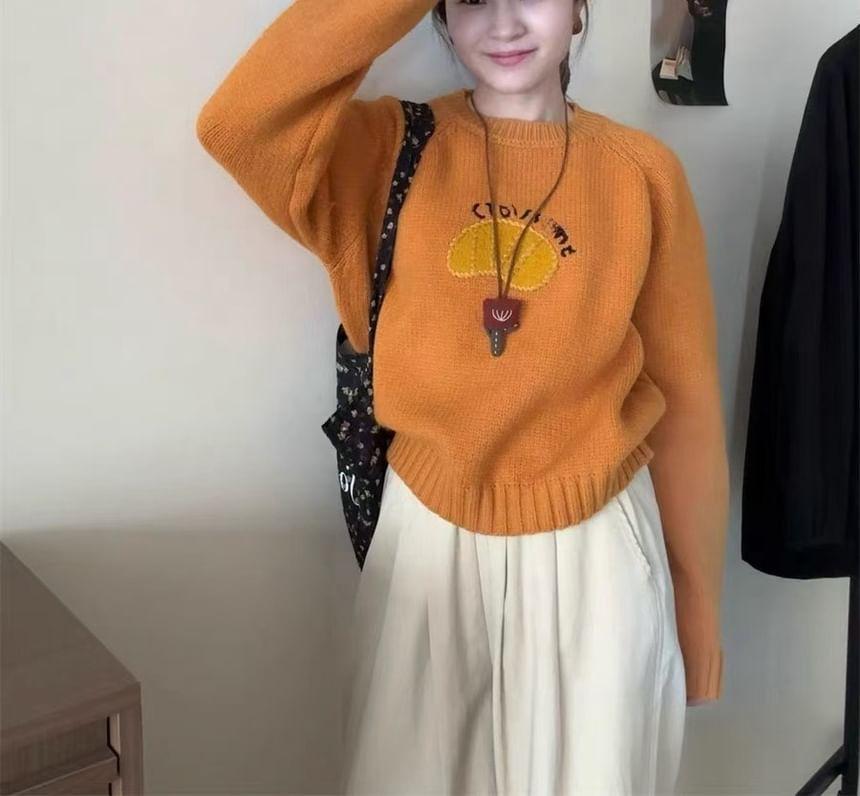 Crew Neck Embroidered Crop Sweater Product Image