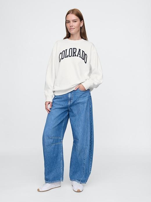 VintageSoft State Logo Sweatshirt Product Image