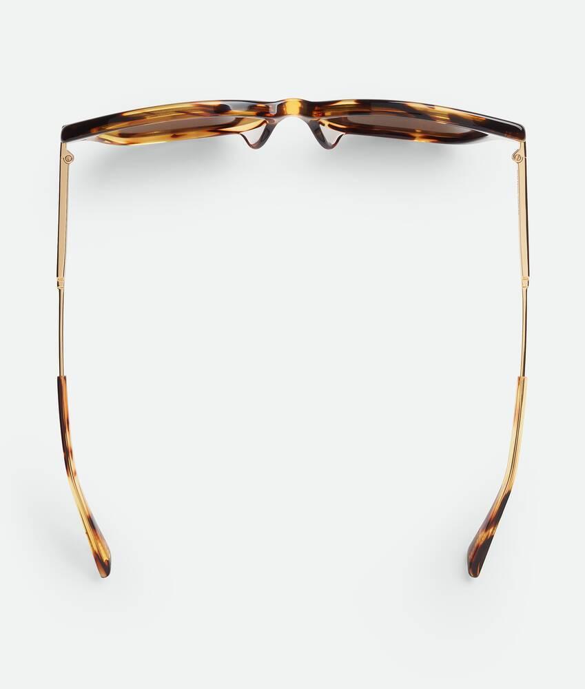 Women's Classic Square Sunglasses in Havana/brown Product Image