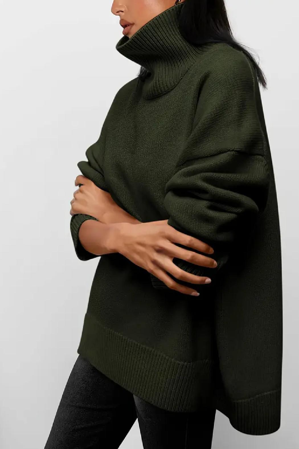 Saundra Ribbed Knit Turtleneck Product Image