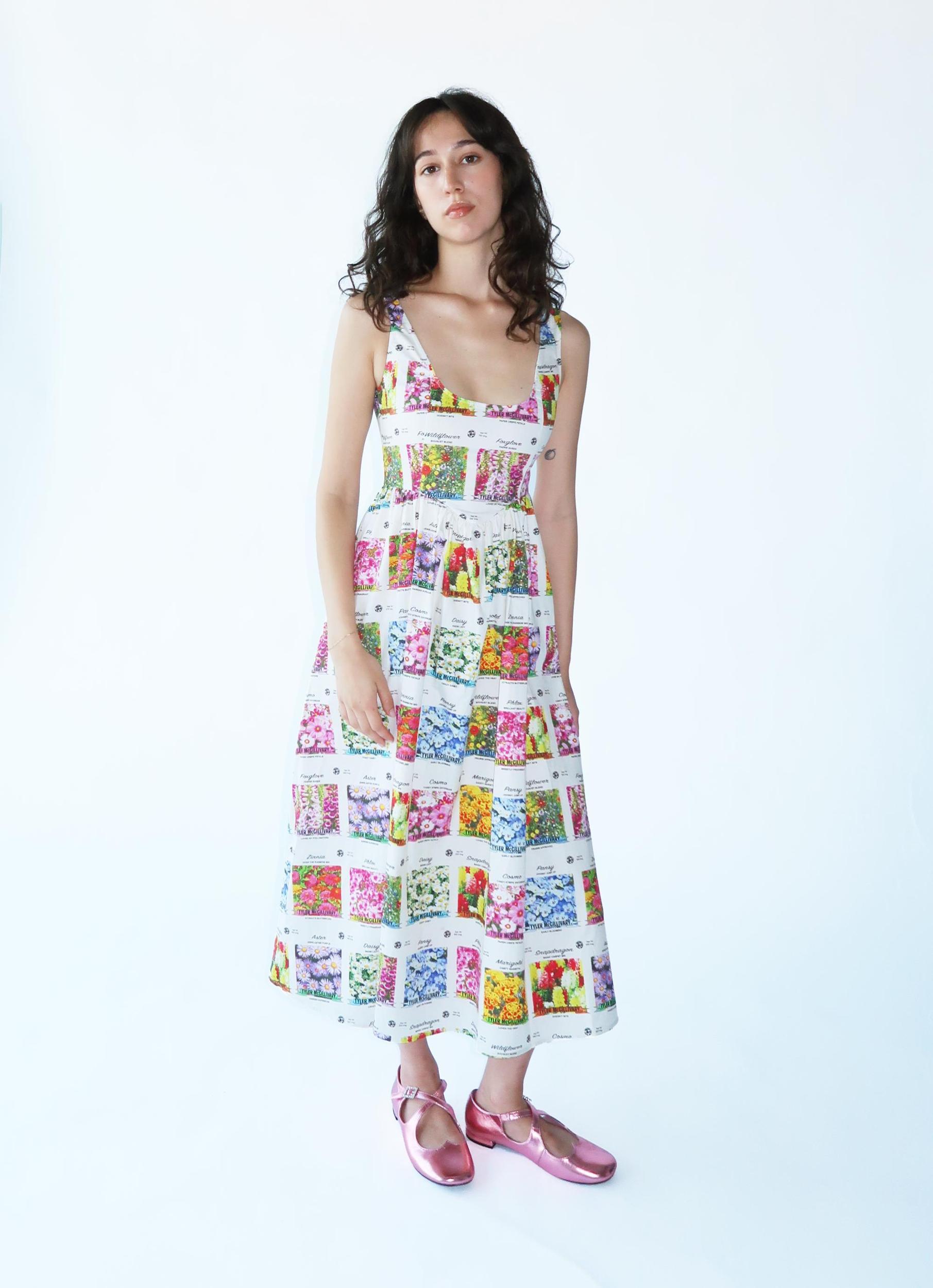 Seed Packet Dress Product Image