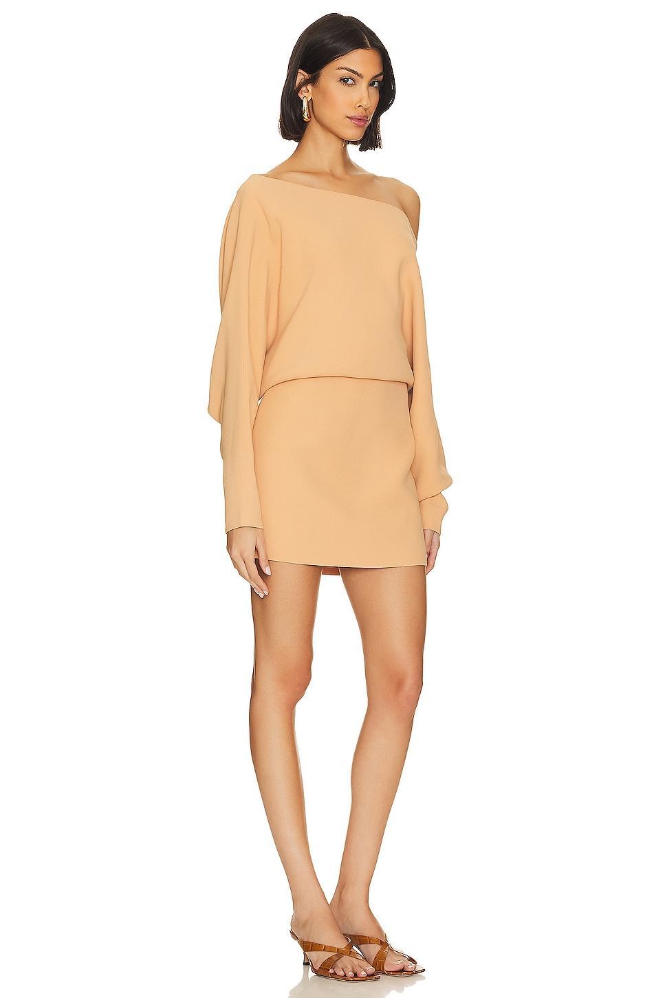 Katia Mini Dress Product Image