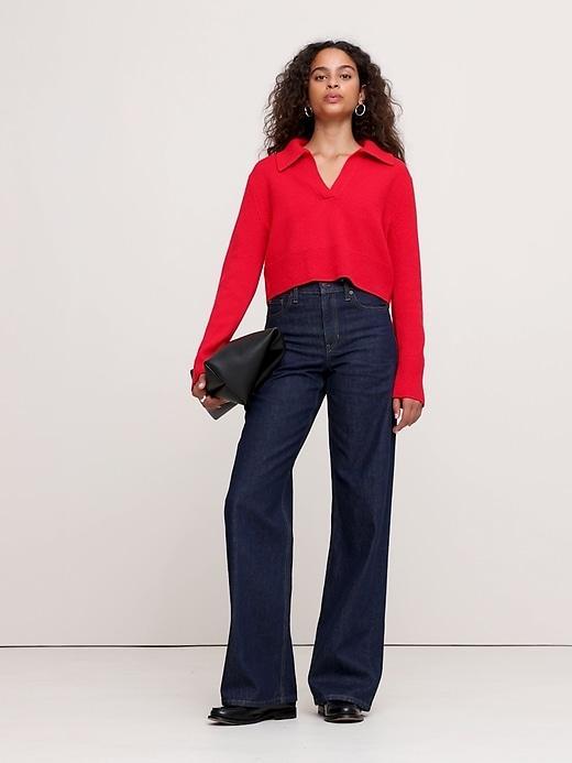 Cashmere Cropped Rugby Sweater Polo Product Image