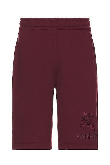 Burberry Taylor Shorts in Burgundy Product Image