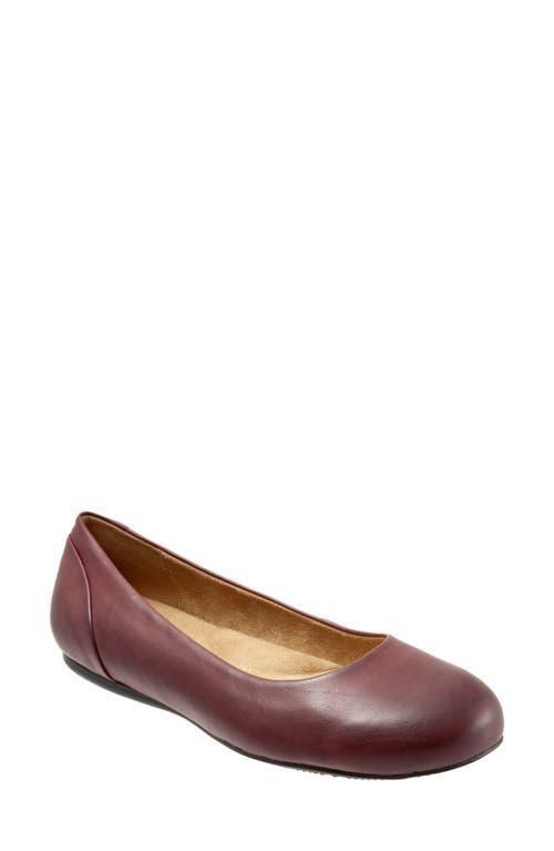 SoftWalk Sonoma Leather Ballet Flats Product Image