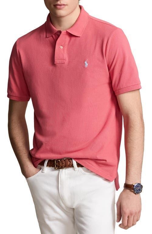Mens Cotton Polo Shirt Product Image