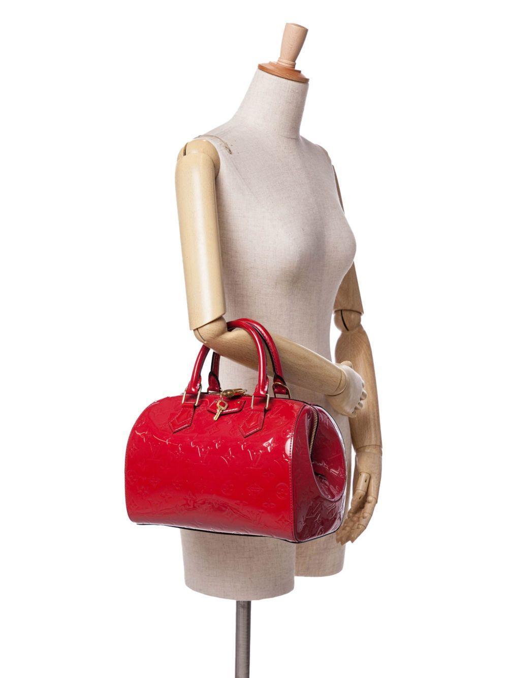 2013 Monogram Vernis Montana handbag Product Image