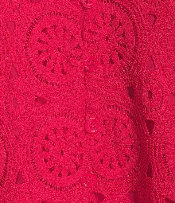 Skies Are Blue Crotchet V-Neck Cap Sleeve Mini Dress Product Image
