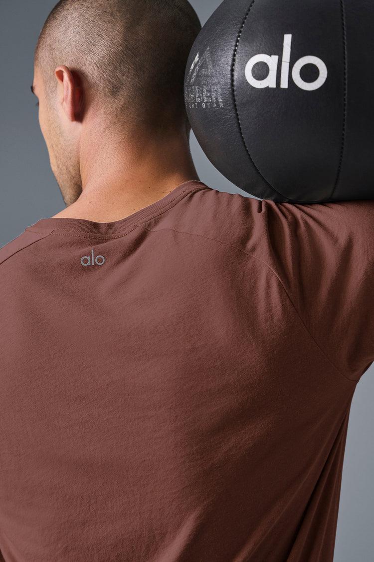 Triumph Raglan Tee - Chestnut Product Image