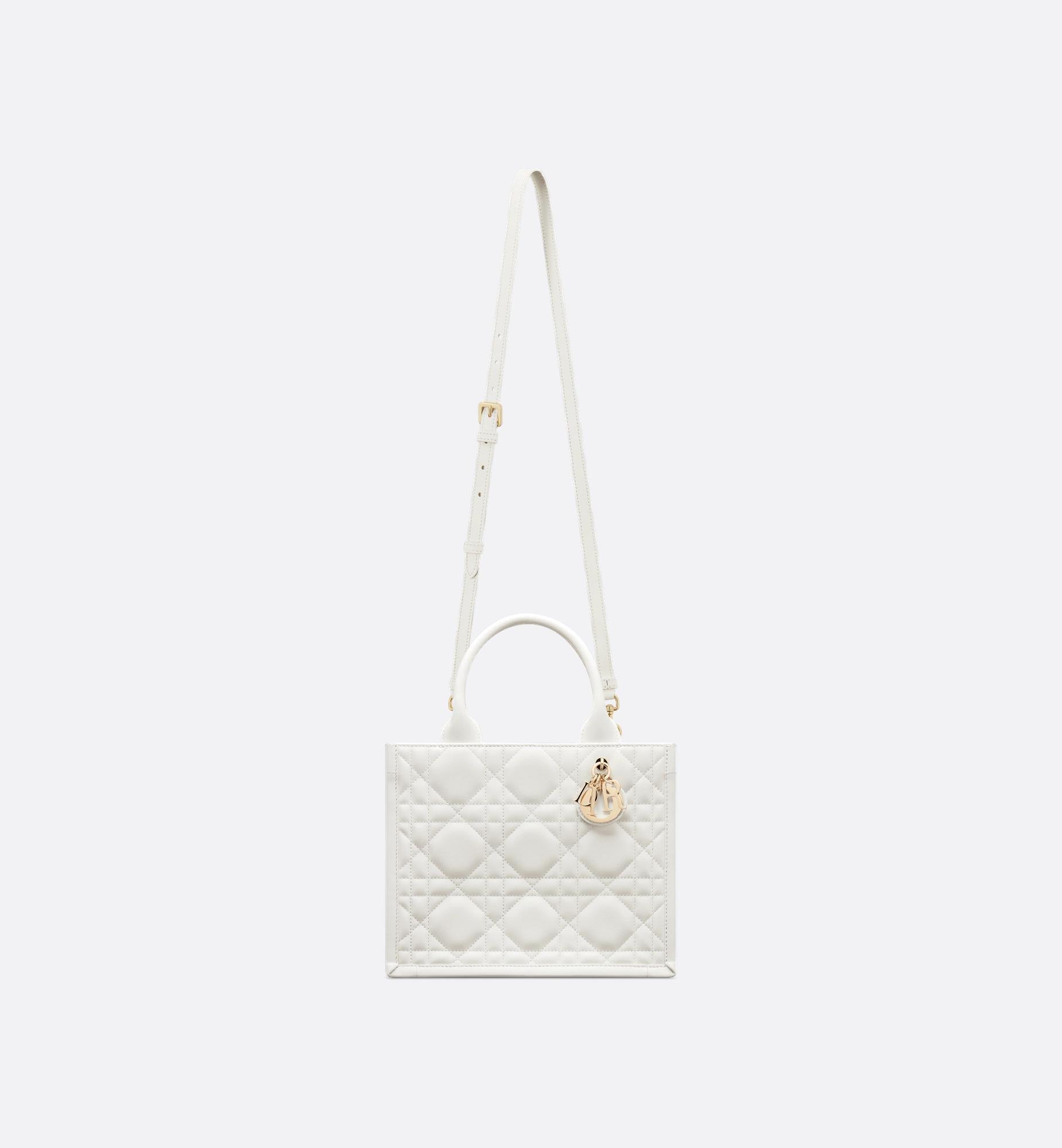Small Dior Book Tote Product Image