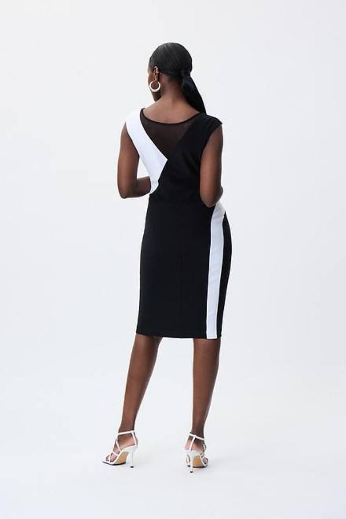 Color Blocked Dress Product Image