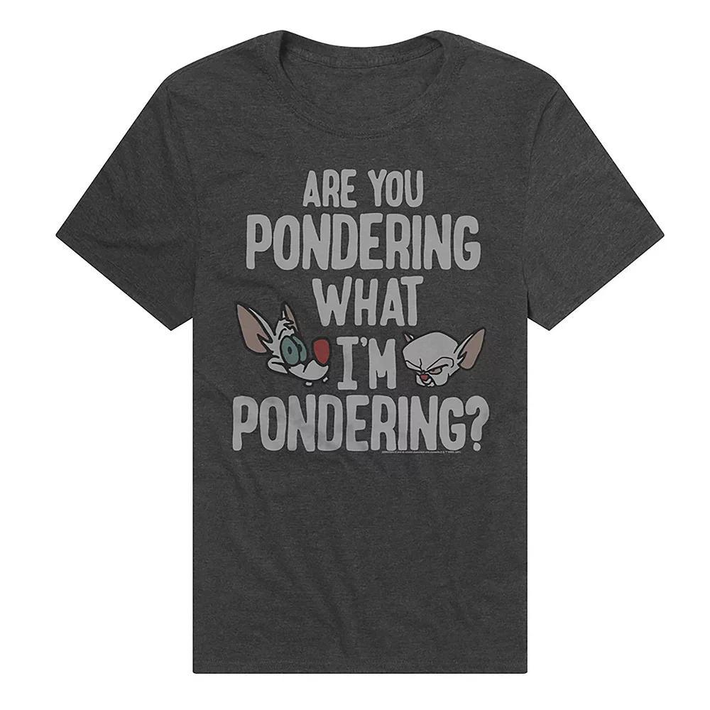 Men's Pinky And The Brain Are You Pondering What I'm Pondering Graphic Tee, Size: XL, Grey Product Image