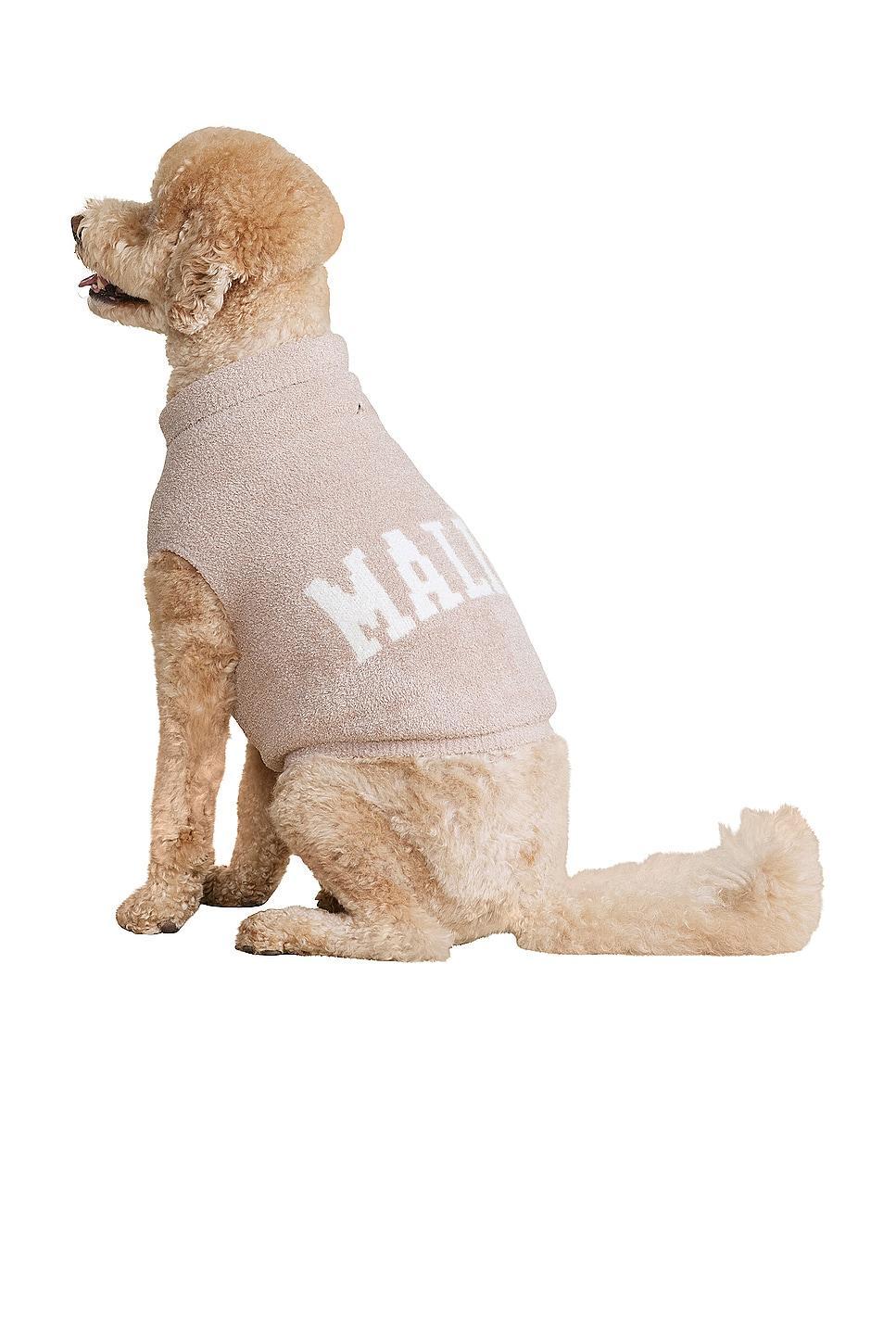 CozyChic Malibu Pet Sweater Barefoot Dreams Product Image