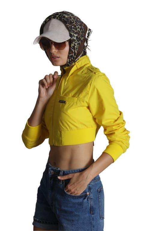 Members Only Women's Mini Cropped Racer Jacket in Black at Nordstrom, Size X-Large Product Image