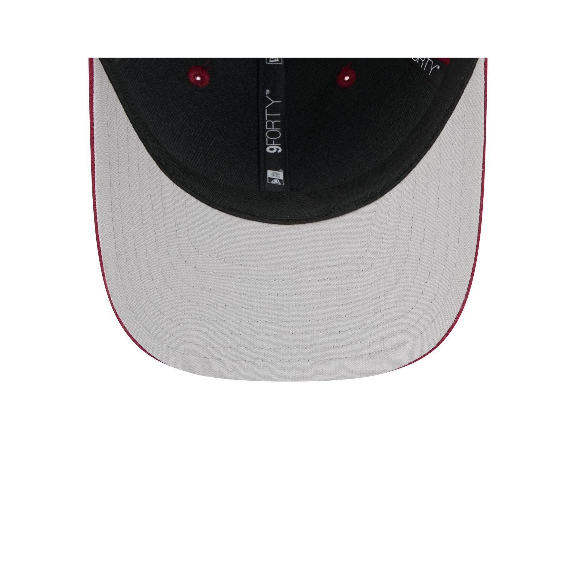 Arkansas Razorbacks Team 9FORTY M-Crown Snapback Hat Male Product Image