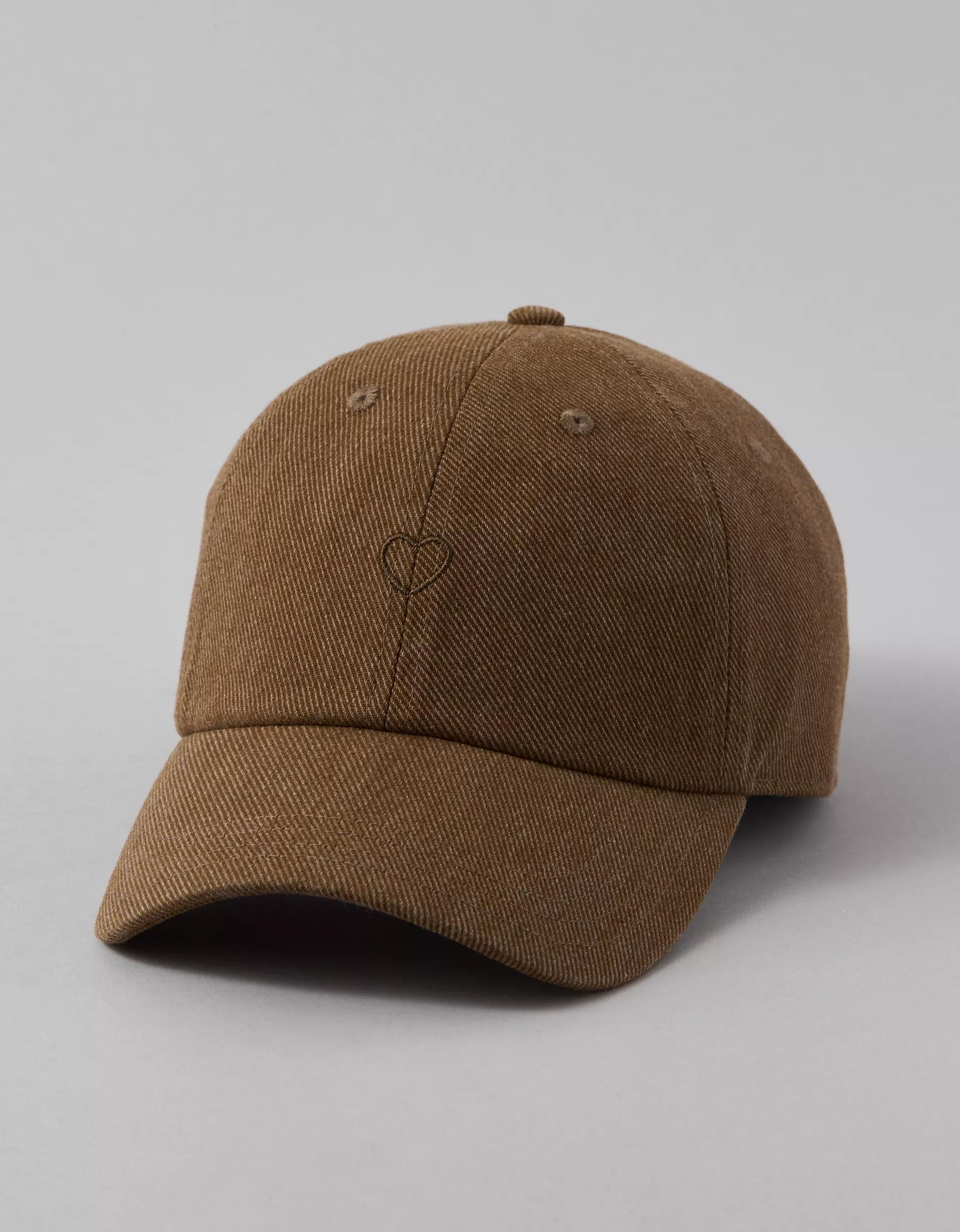 AE Embroidered Baseball Hat Product Image