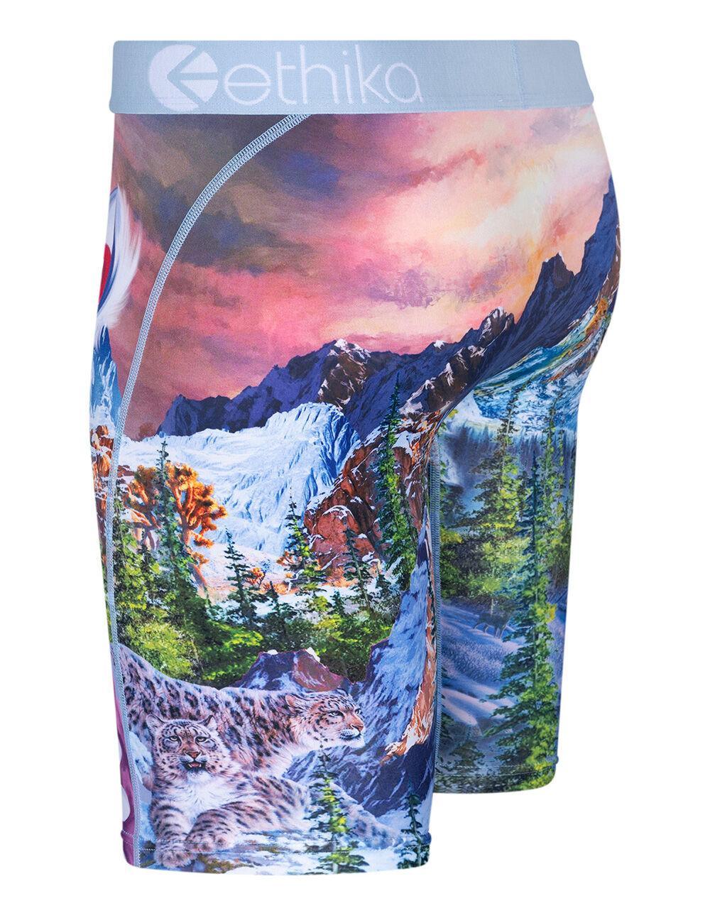 ETHIKA Bomber Abominable Staple Mens Boxer Briefs - MULTI Product Image