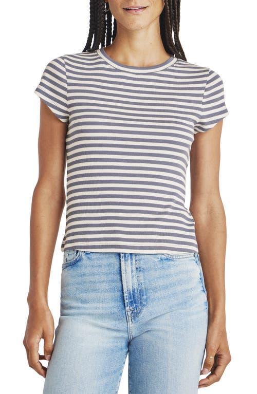 Splendid Benson Striped Short Sleeve Crew Tee (Ash Navy/Moonstone) Women's Clothing Product Image